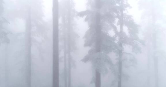 航拍冬季瓦屋山山顶松林雪景