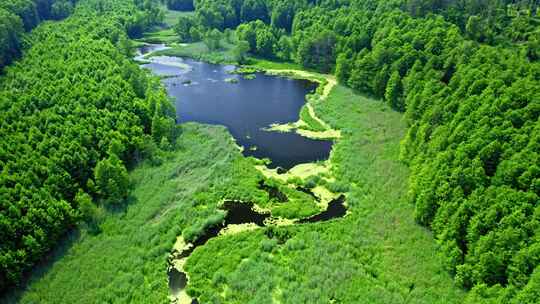 波兰夏季绿色河流的鸟瞰图