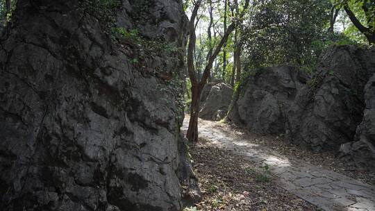 杭州凤凰山景区排衙石诗刻