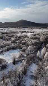 竖屏航拍大兴安岭雪原湿地雾凇241102 (5)