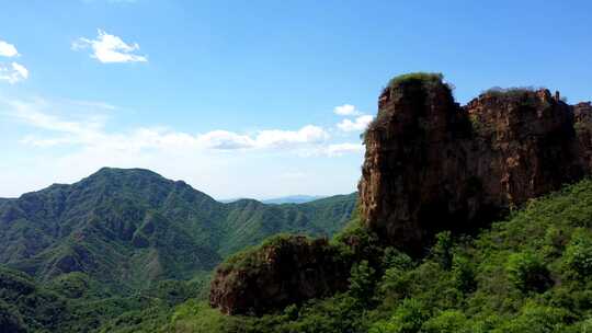 森林大自然树林氧吧森林空气环保大自然树林