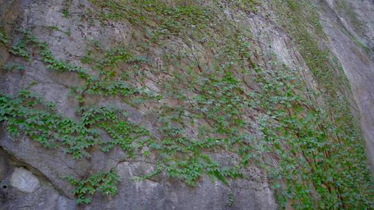 浙江绍兴柯岩景区蚕花洞景点4K视频