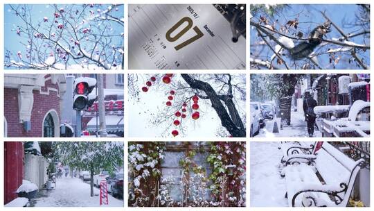 大雪视频素材高清在线视频素材下载