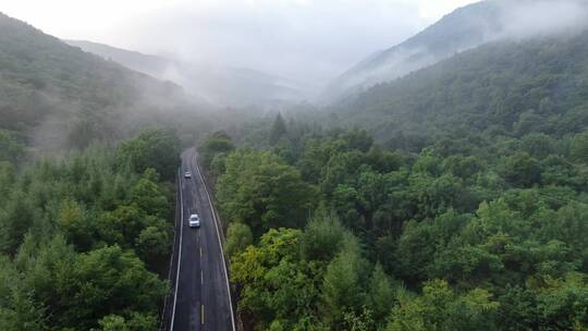 吉林通化长白山人参森林道路航拍