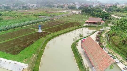 乡村农田与池塘俯瞰画面