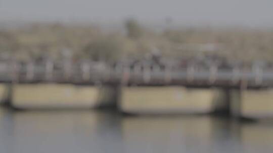 渡口浮桥LOG视频素材