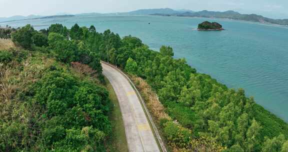 沿海公路海边公路海景公路绿色树木