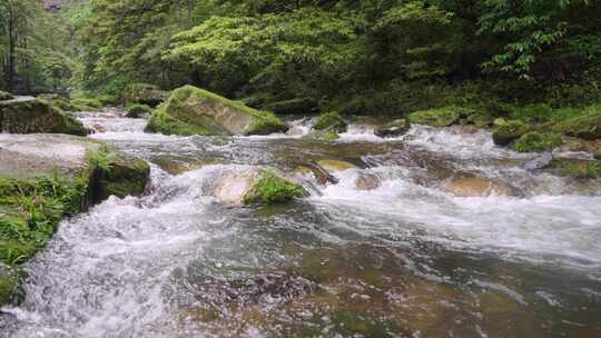 自然溪流合集-小河溪水清澈溪流