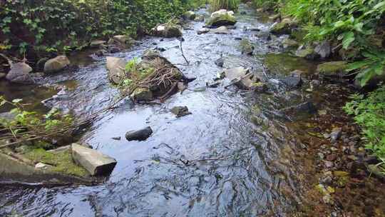 山间小溪水河流水阳光树林视频