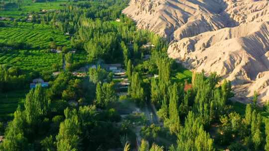 新疆吐鲁番葡萄沟自然风光