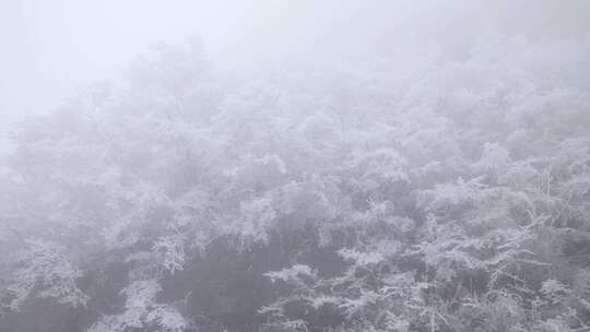 寒潮冬天下雪的村庄田野