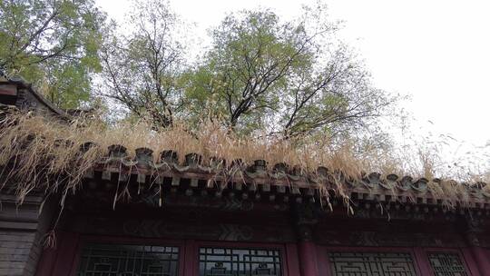 荒凉古建筑古院