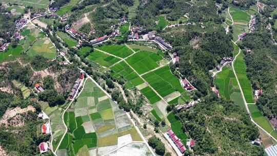 平原农田田园风光小麦地农村航拍