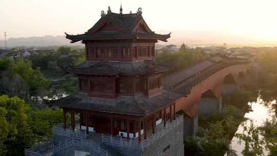 九龙湿地风景