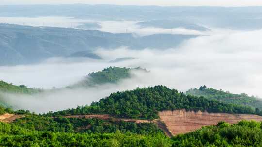 山间云海森林全景