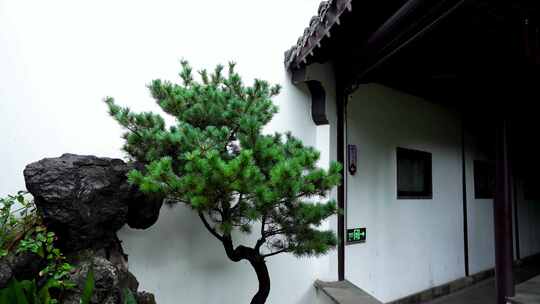 江南园林雨天屋檐雨滴水滴下雨意境