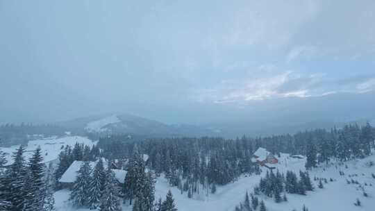 雪，冰冻，森林， Fpv