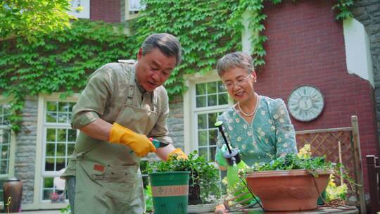 老年夫妇在院子里修剪花草视频素材模板下载