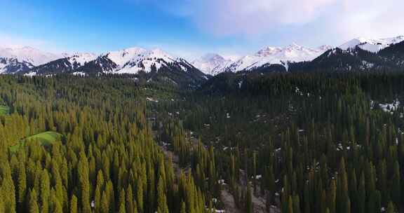 雪山森林自然风景航拍