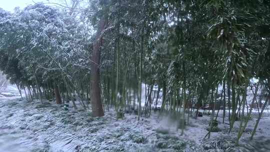 竹林雪海小桥河流