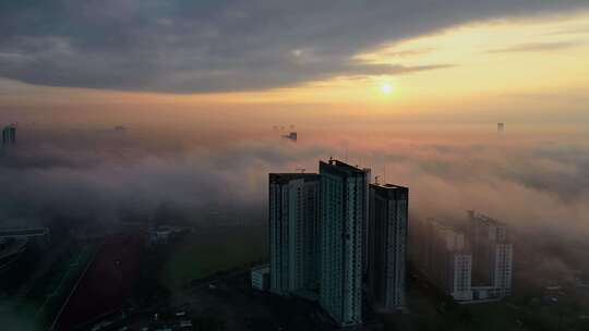 晨雾笼罩的城市