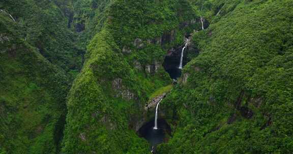 留尼汪岛，瀑布，溪流，森林