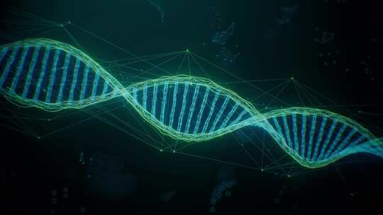 科技信息化数据DNA