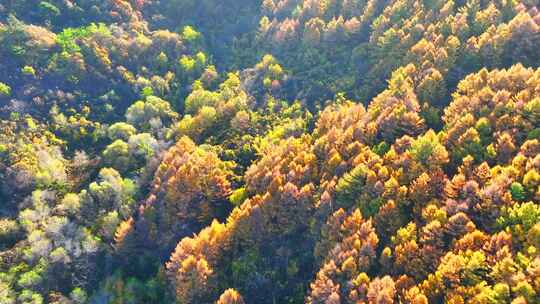 航拍色彩缤纷的辽宁千山秋景