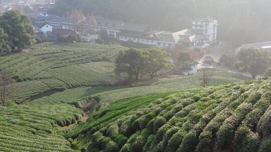 航拍杭州龙井茶产地梅家坞