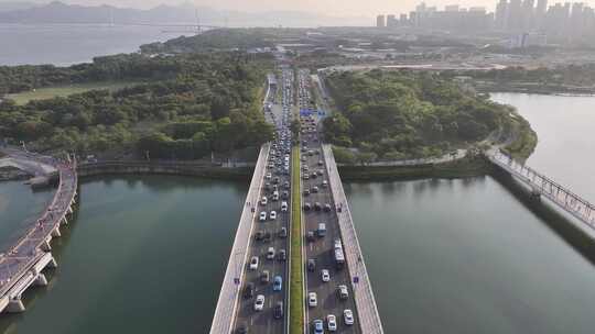 深圳湾清晨航拍