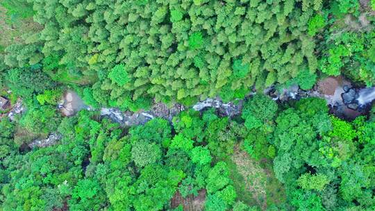 森林公园山涧瀑布俯拍横移