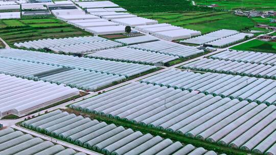 农业大棚航拍
