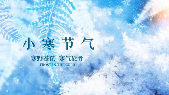 原创冬日唯美二十四节气小寒雪花视频