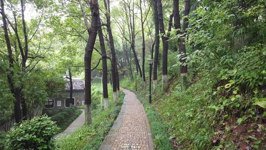 湖南衡阳回雁峰景区雨花亭4k视频