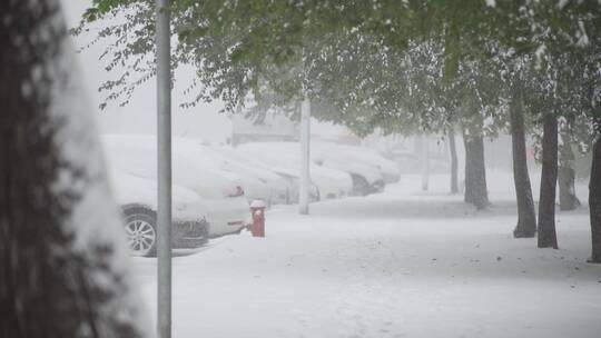 冬天大雪视频素材模板下载