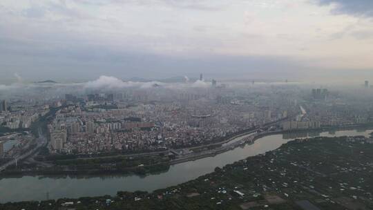 城市雨后平流雾