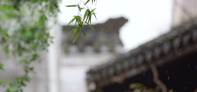 竹叶 细雨 屋檐