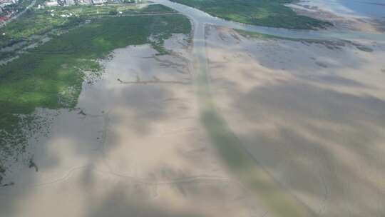 4K航拍深圳福田红树林湿地保护区