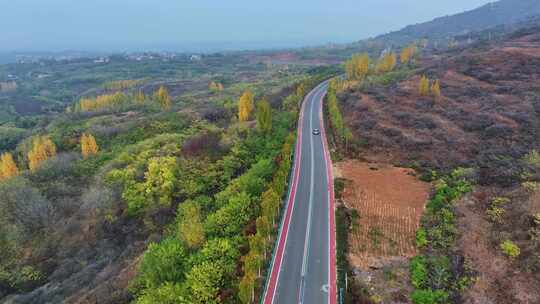 金色秋天旅游公路上行驶在风景中的汽车