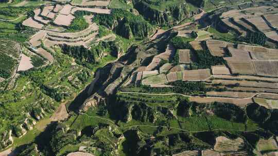 邙山梯田