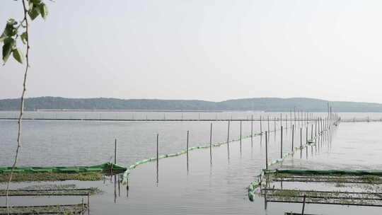 武汉洪山区湖滨公园