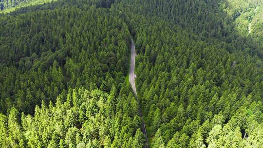 航拍森林中的公路