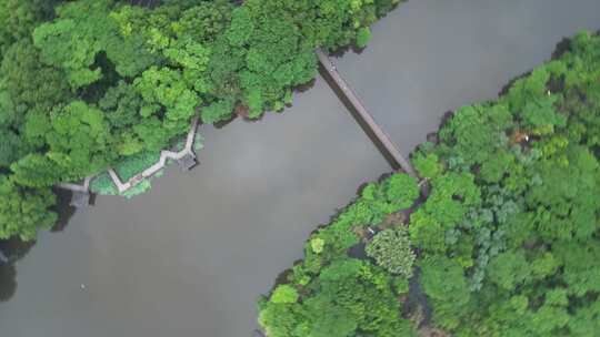 航拍衡阳平湖公园美景