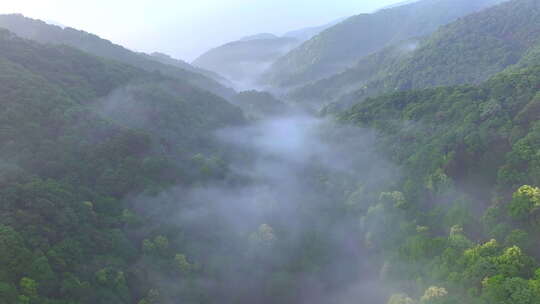 航拍山谷森林云雾  绿水青山 自然环境