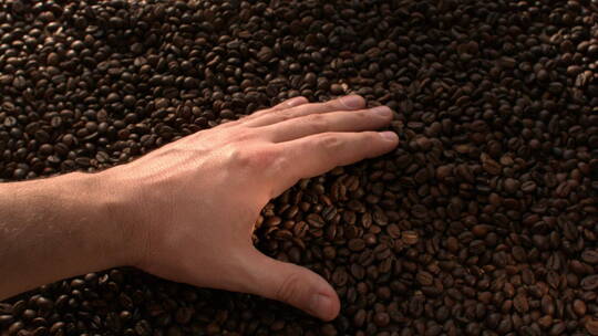 手抓起一把咖啡豆