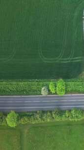 农村道路俯视图