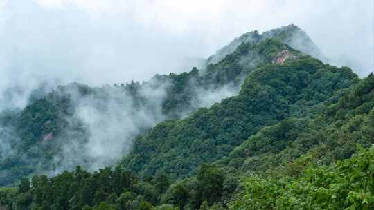 秦岭山脉云海云雾飘动