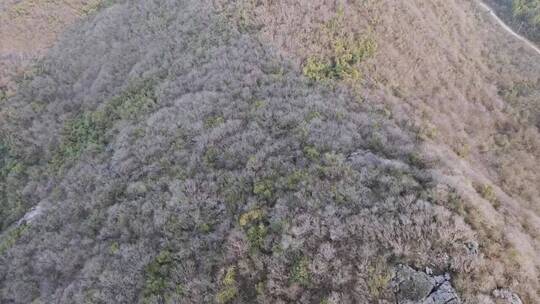 风景这边独好，大山里的原生态，治愈系风景