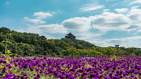 吴山天风花海