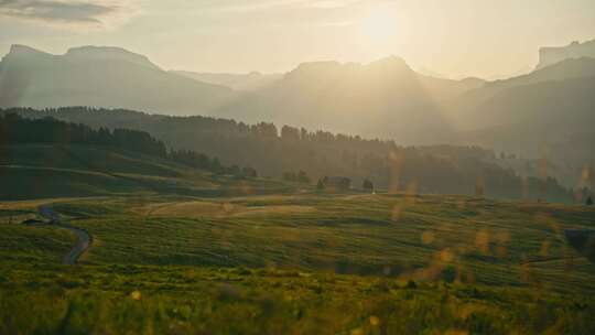 Alpe Di Siusi，领域，道路，